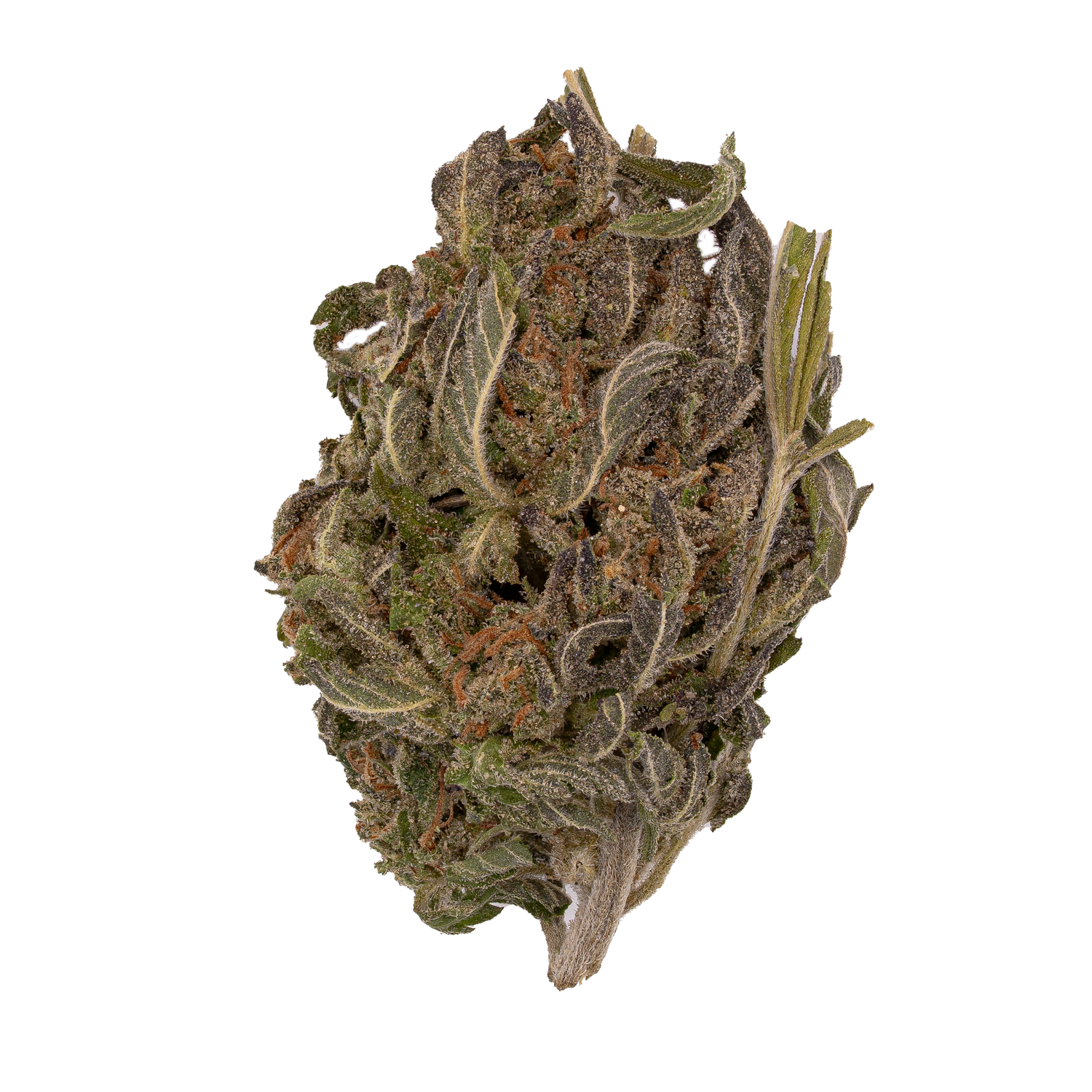 Carbon Fiber | Light Dep By THCA Nugs