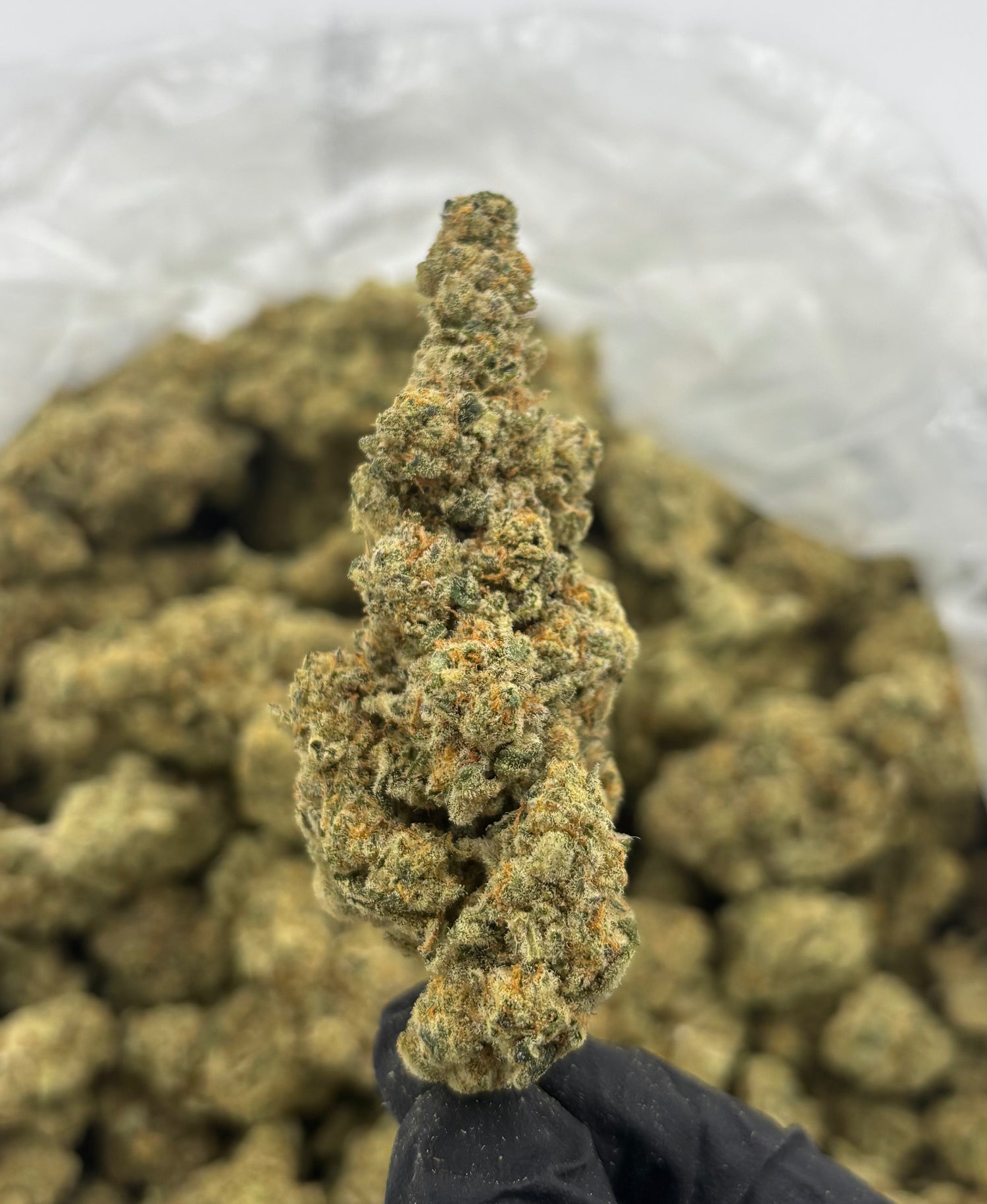 Gush Mintz | Exotics by THCA Nugs™