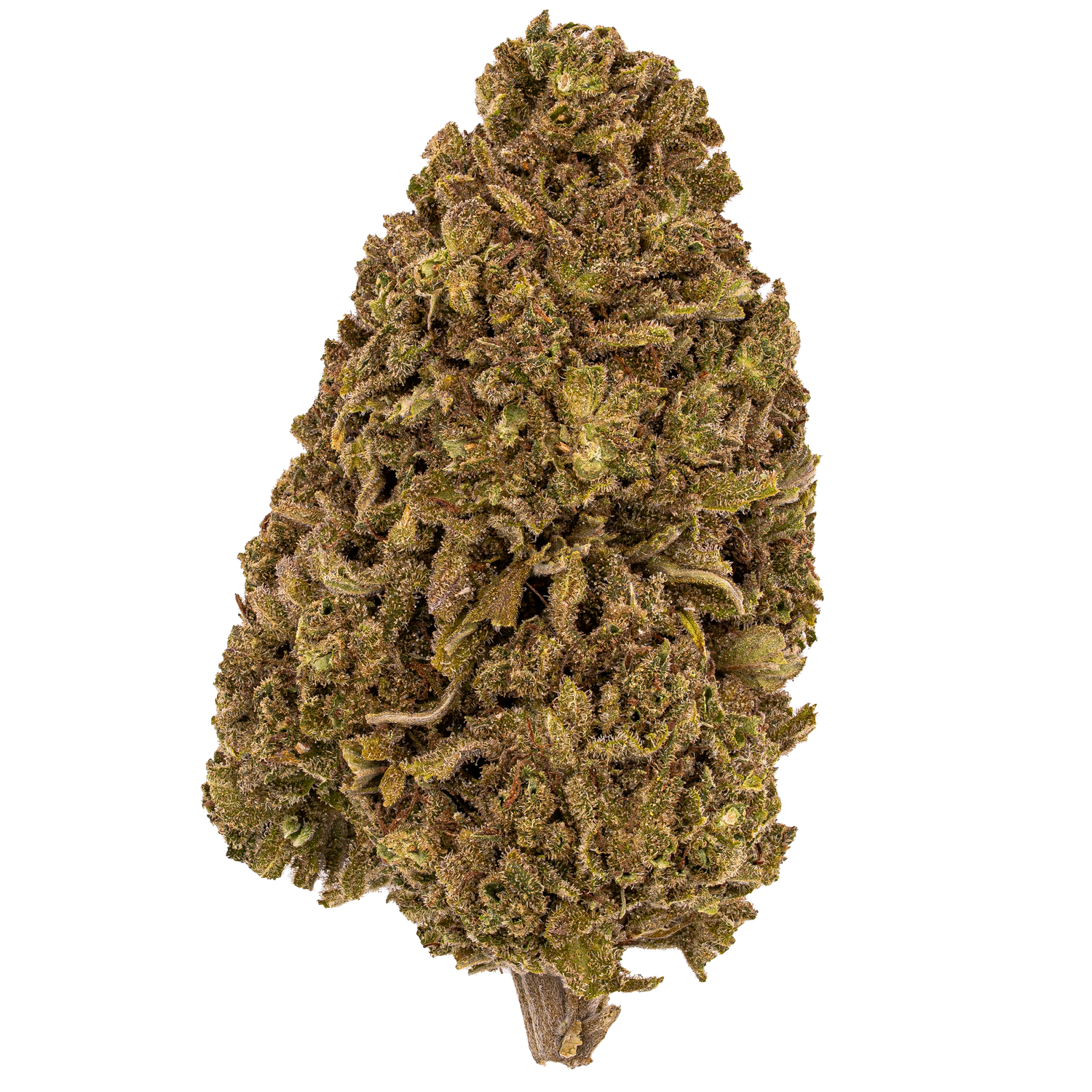 Purp Snow Cone | Light Dep By THCA Nugs