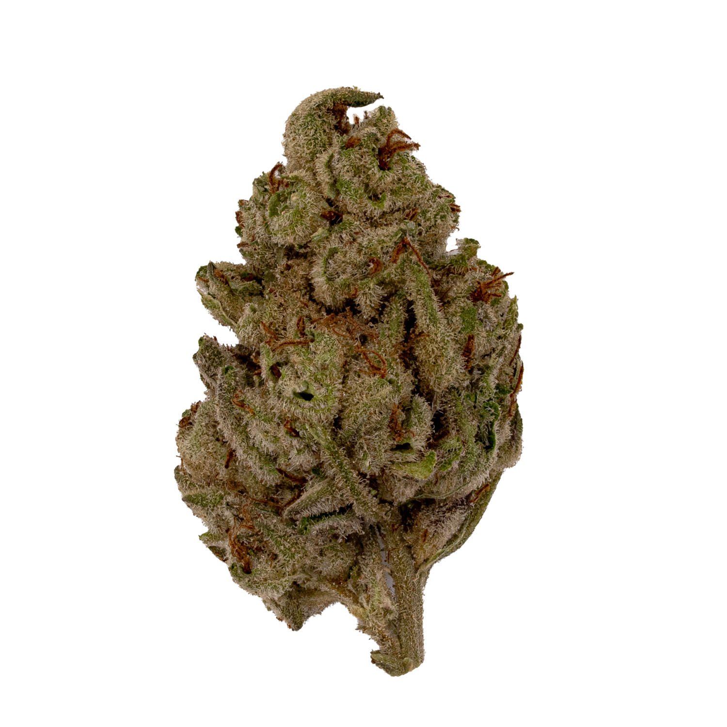 Jet Fuel | Exotics by THCA Nugs™