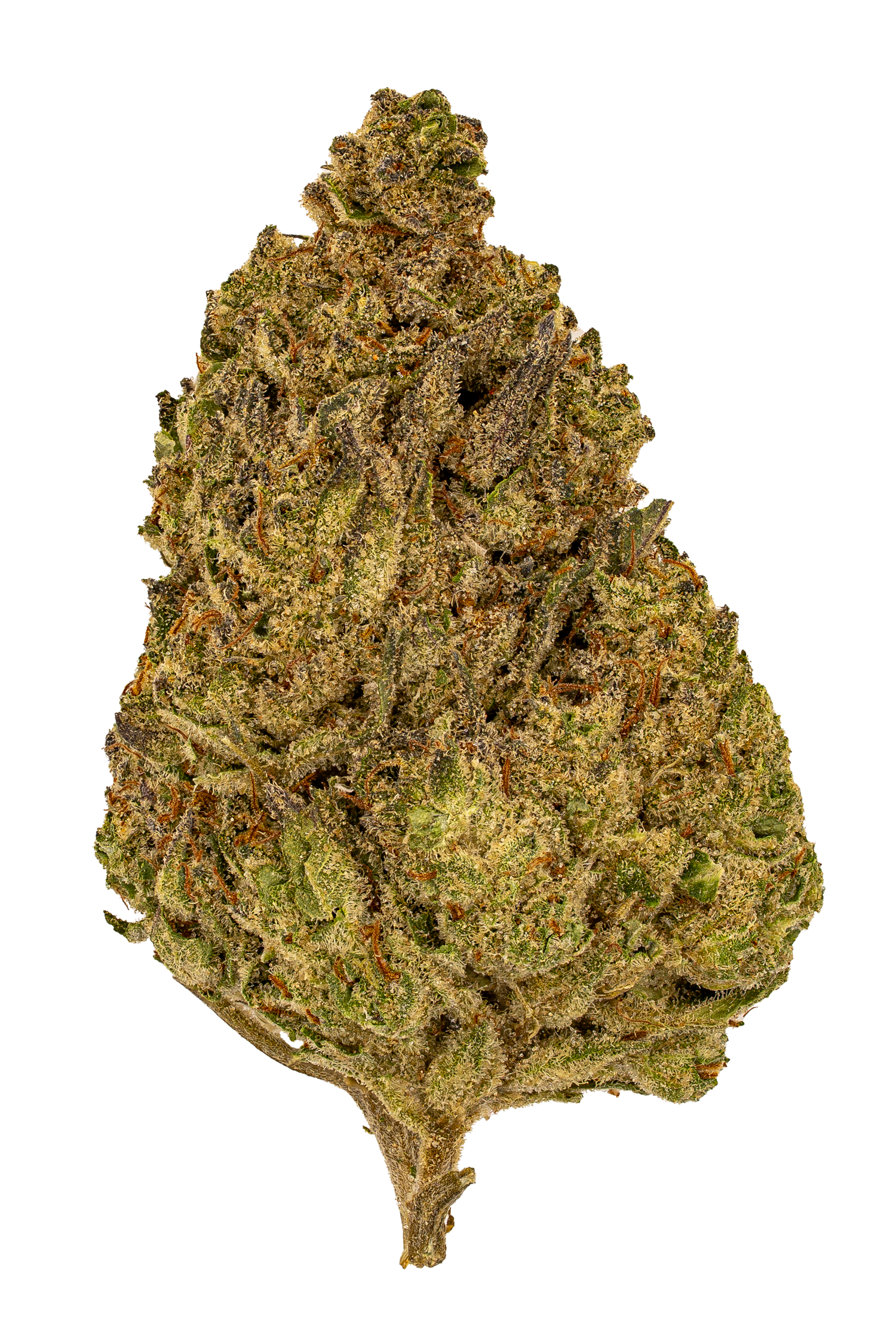 Hash Burger | Light Dep by THCA Nugs