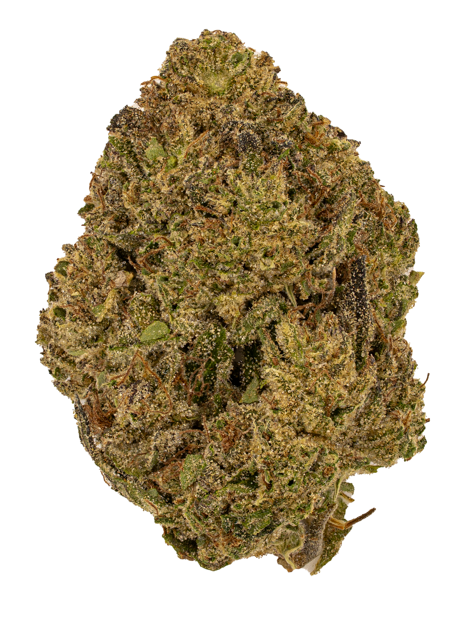 Northern Lights | Light Dep by THCA Nugs