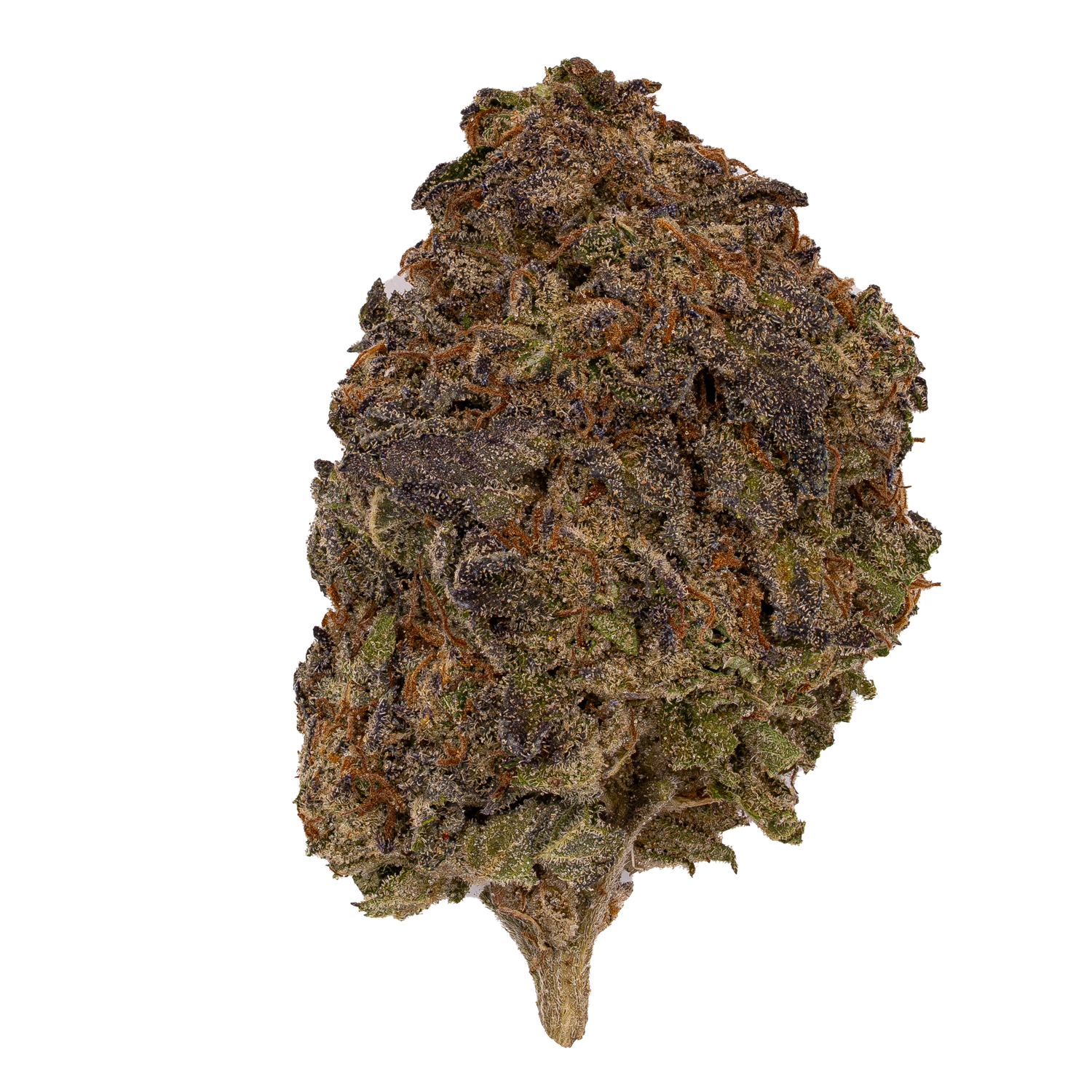 Biscotti Mintz | Light Dep By THCA Nugs