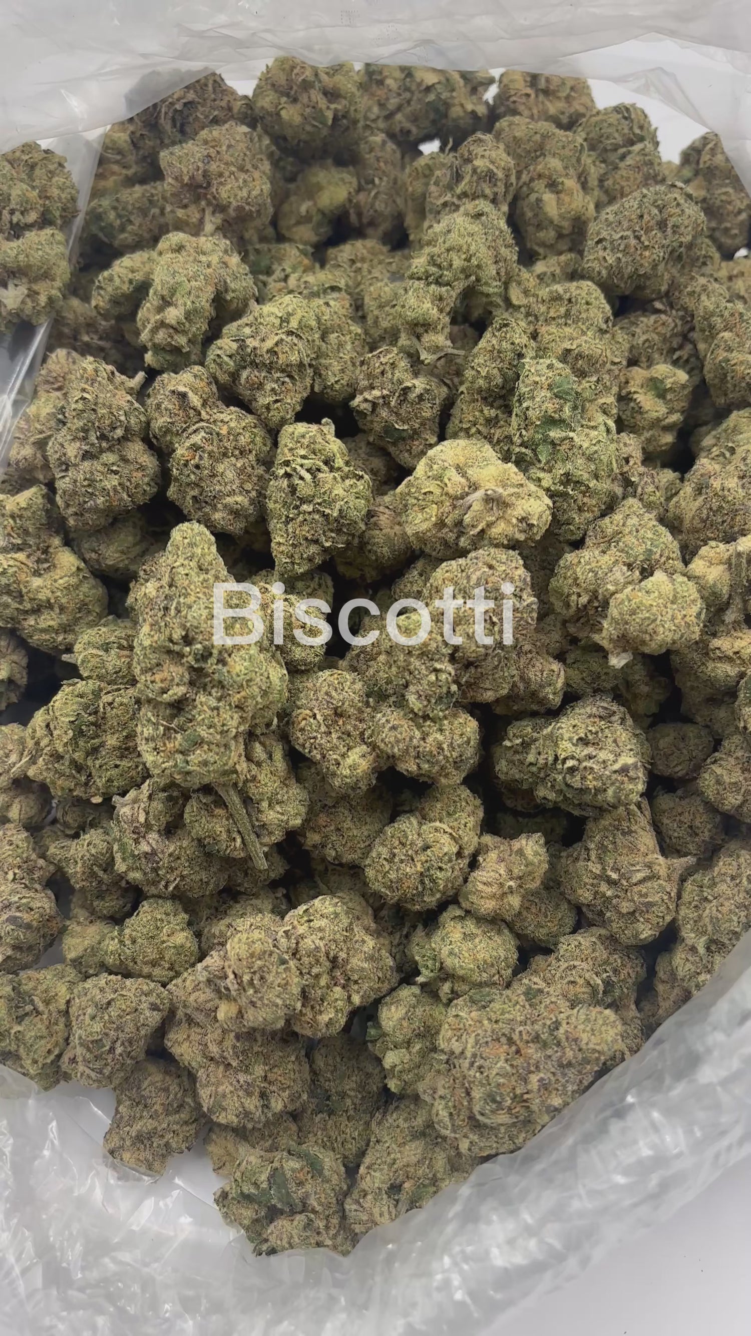 Biscotti | Exotics by THCA Nugs™