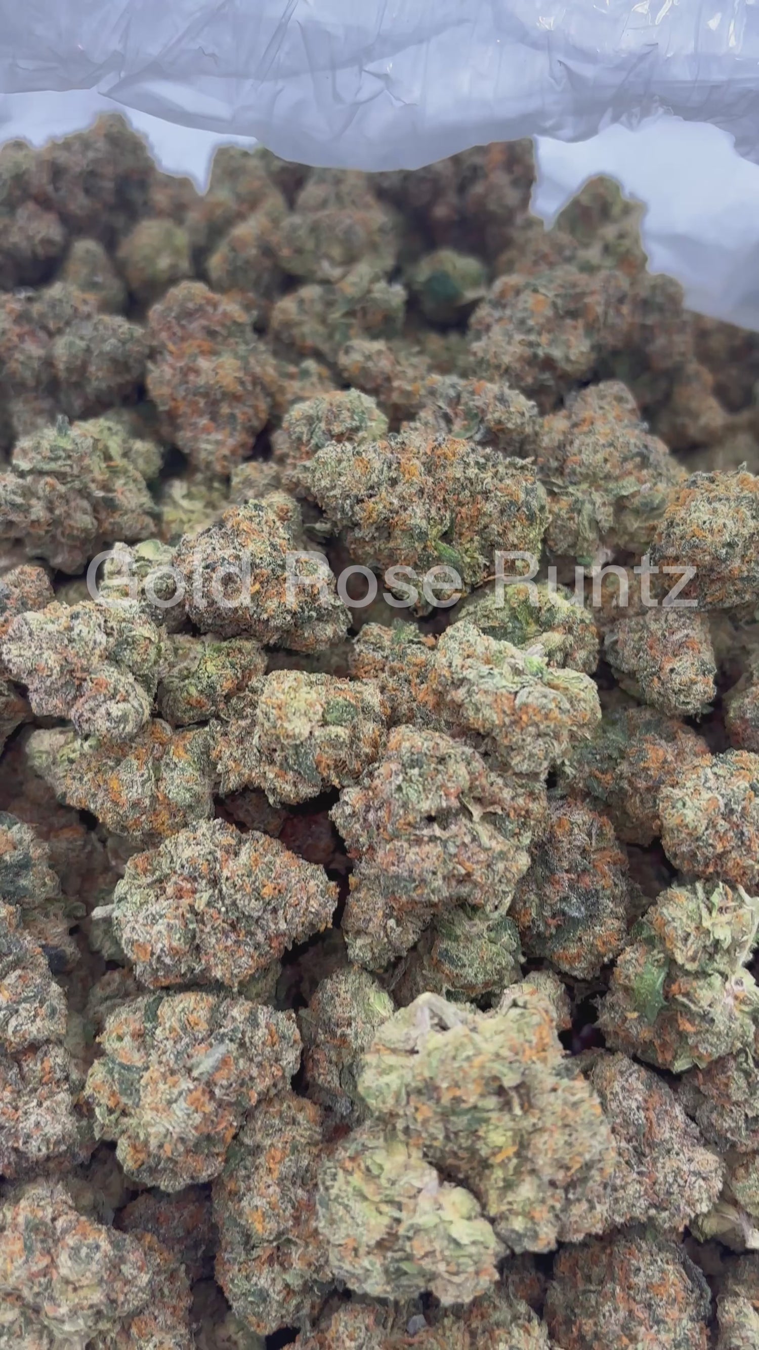 Gold Rose Runtz | Exotics by THCA Nugs™