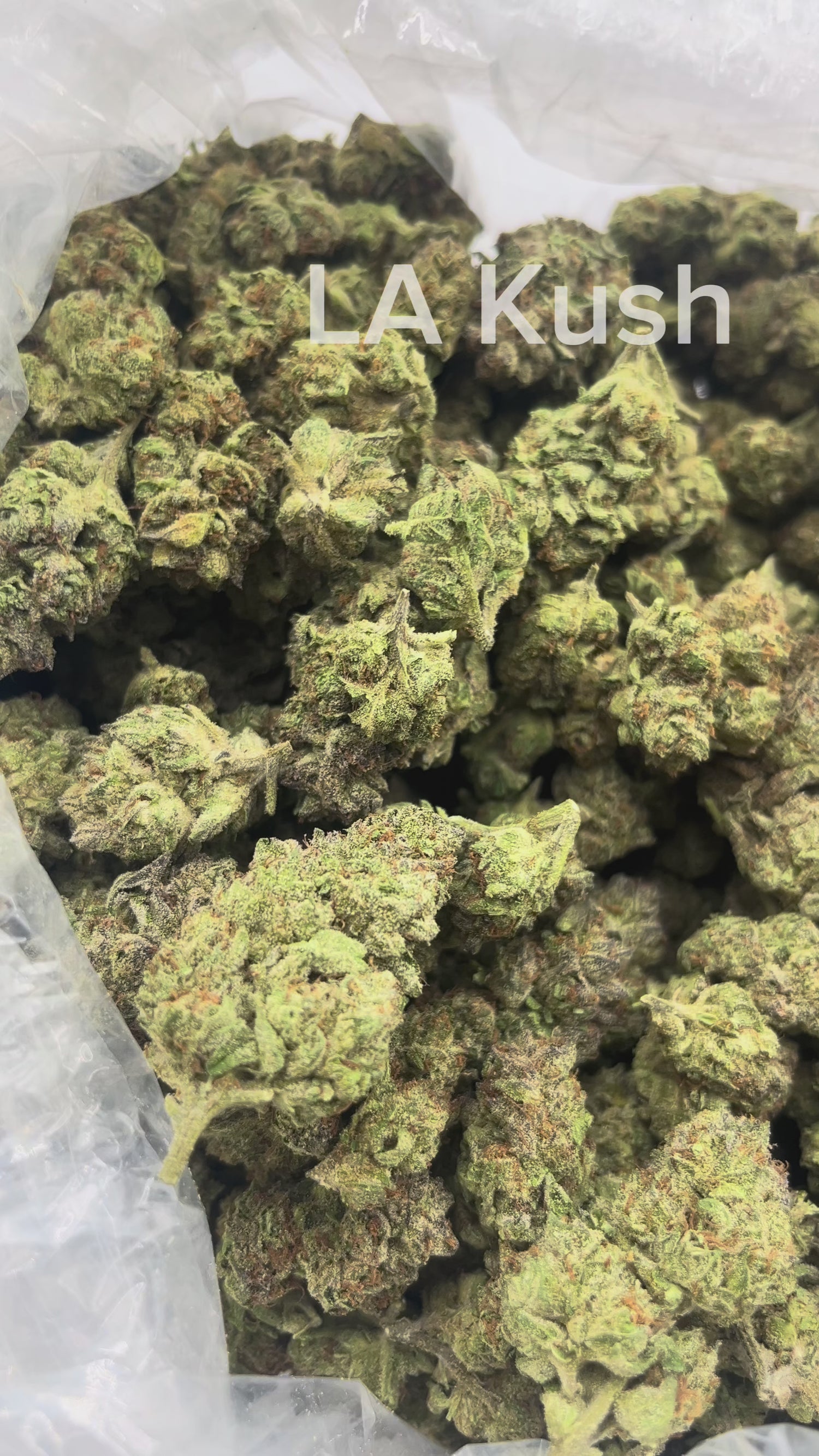 LA Kush | Exotics by THCA Nugs™