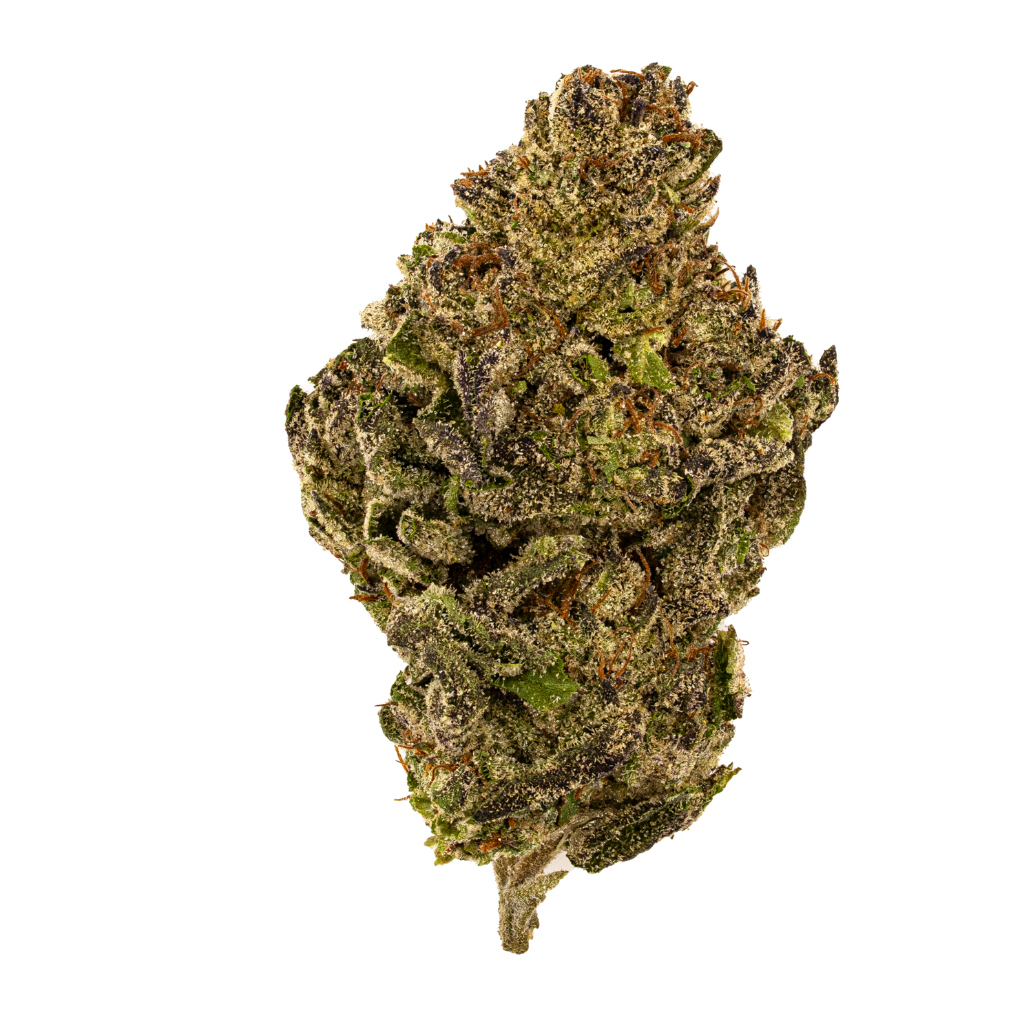 Obama Runtz | Exotics by THCA Nugs™