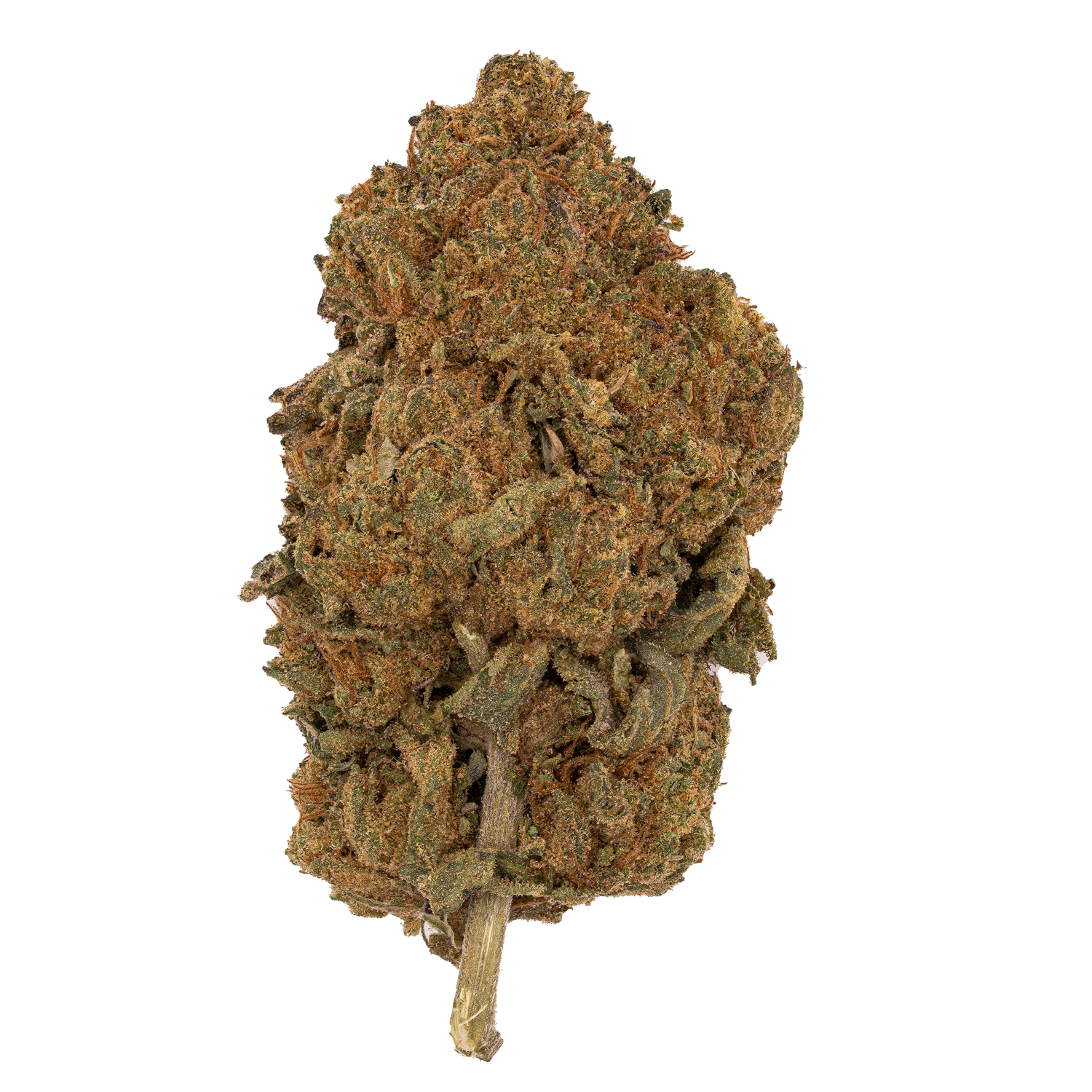 Supernova | Budget Flower by THCA Nugs