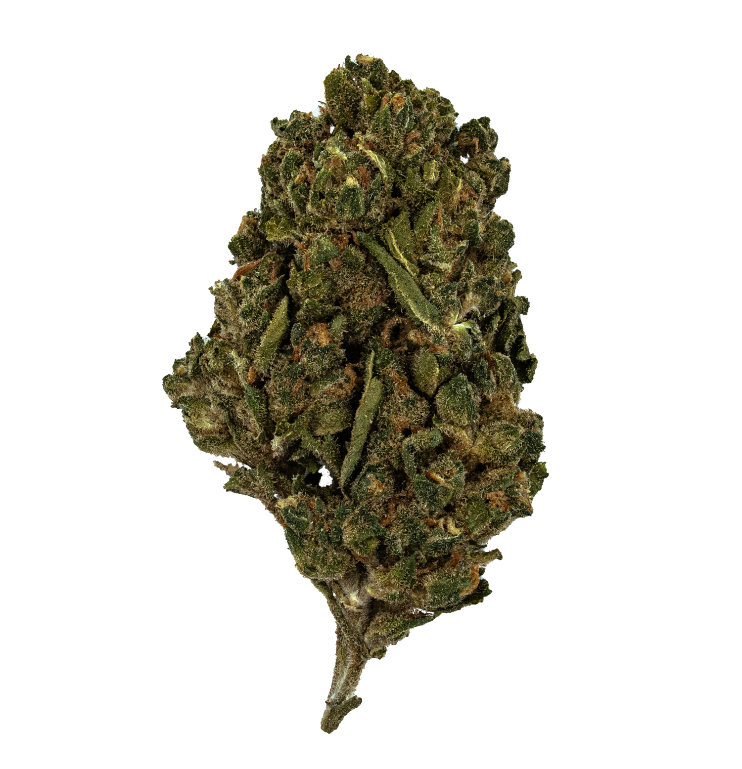 Skywalker OG | Nugs™ Affordable THCA