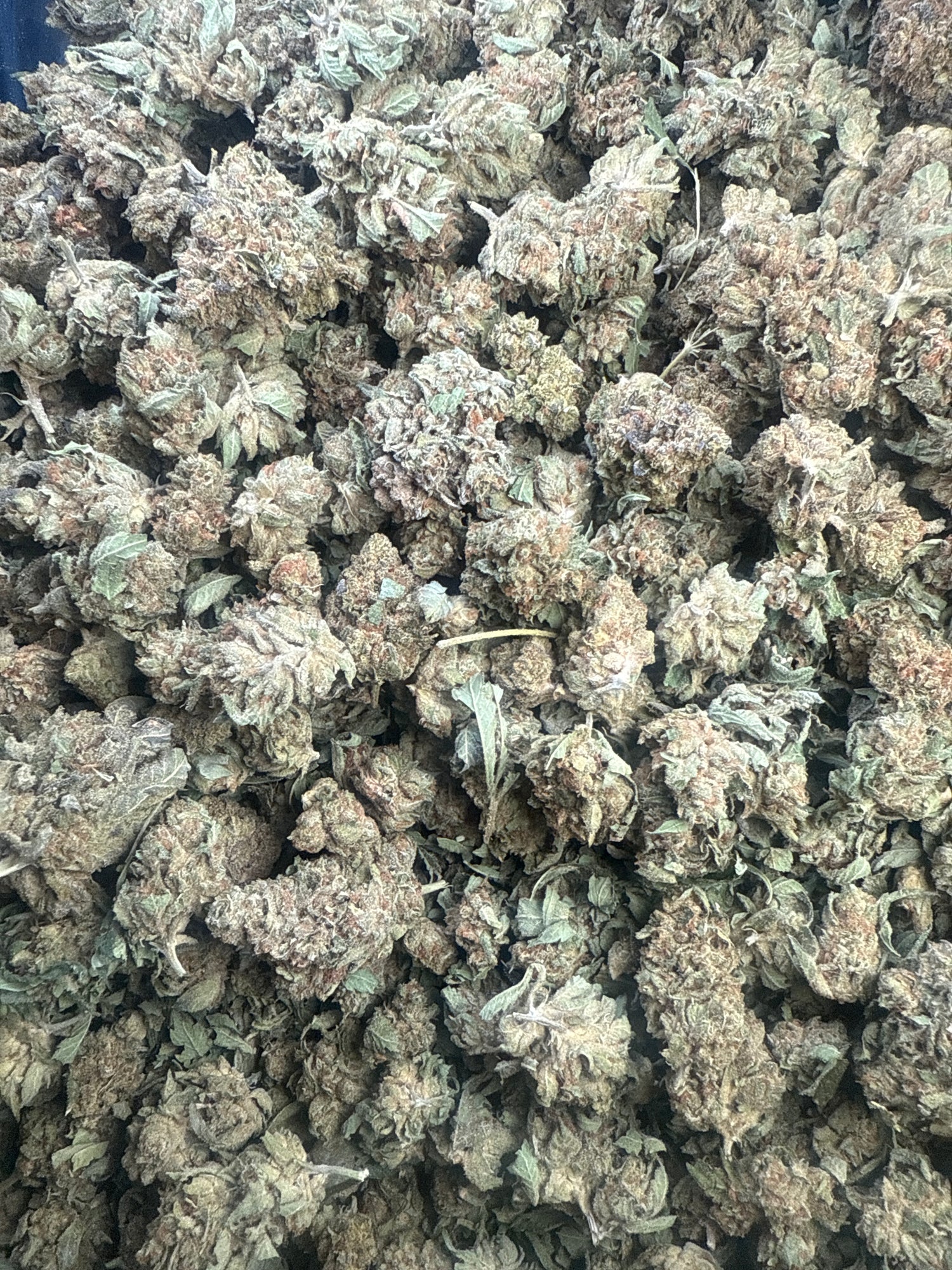 Cereal Milkz | Nugs™ Affordable THCA