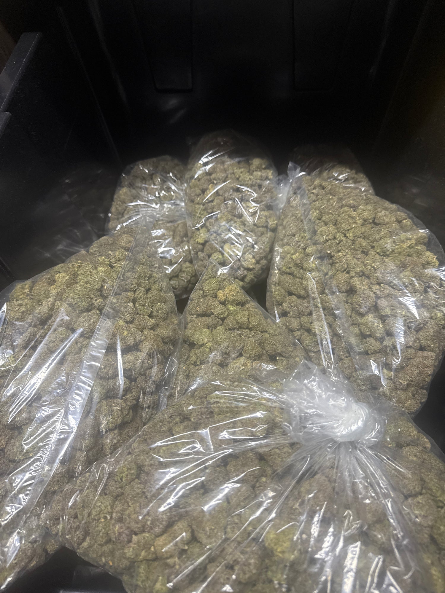 Upside Down Runtz | Exotics by THCA Nugs™