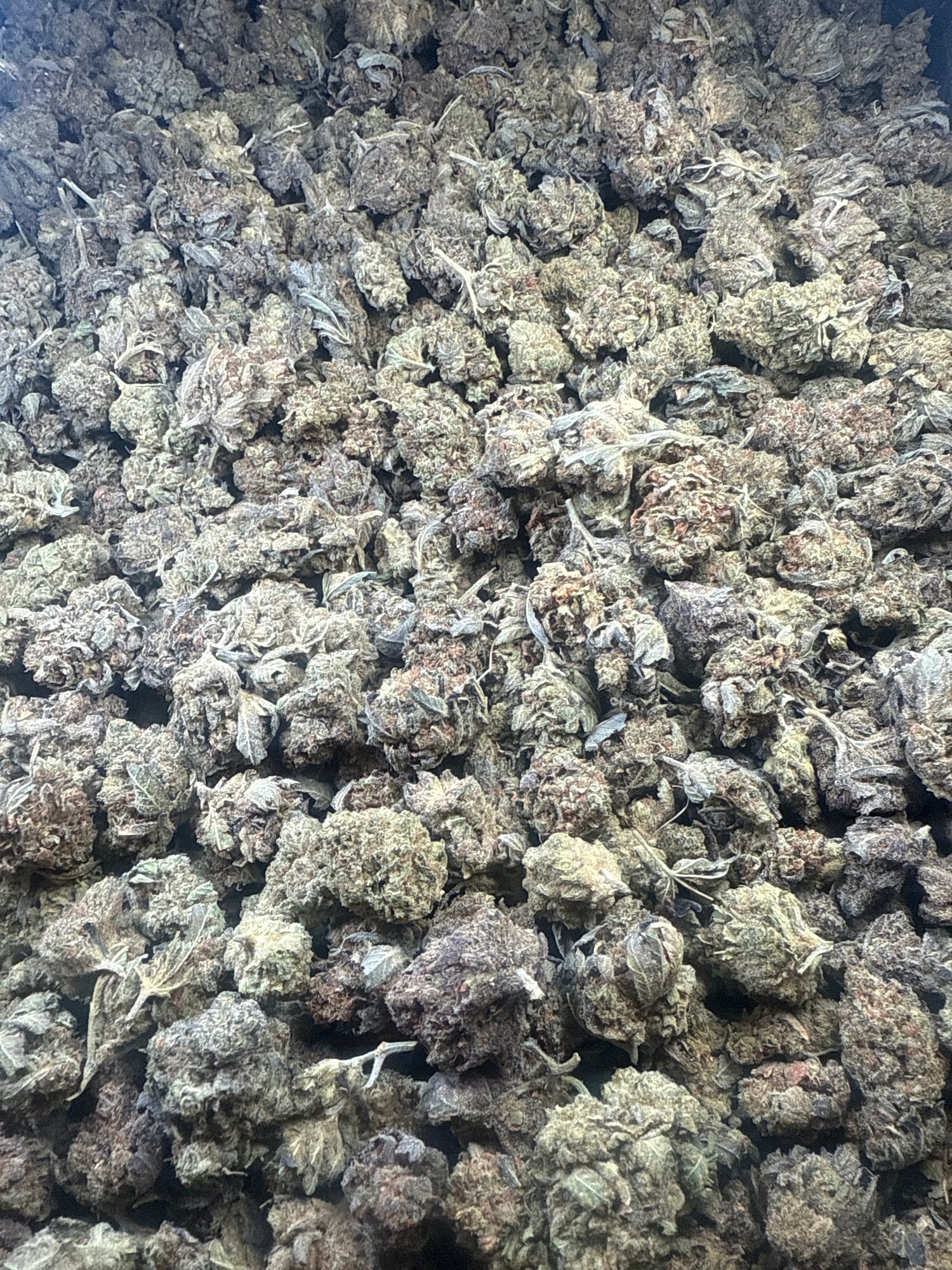 Lemon Kush | Nugs™ Affordable THCA