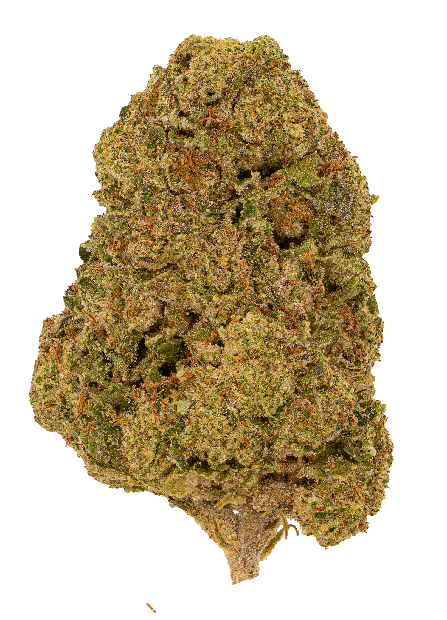 Cali Burger | Light Dep by THCA Nugs