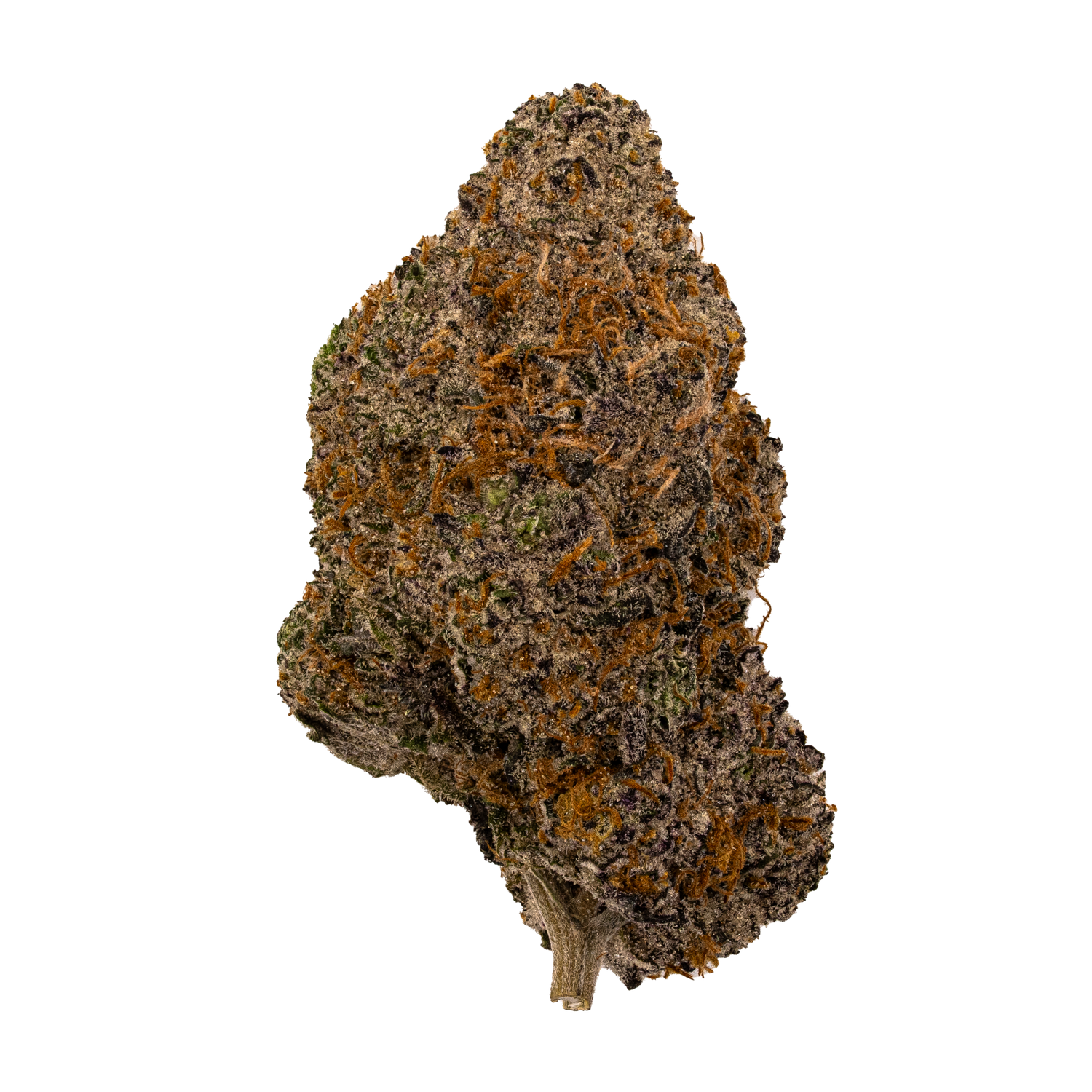 Black Amber | Exotics by THCA Nugs™