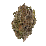 Carbon Fiber | Light Dep By THCA Nugs