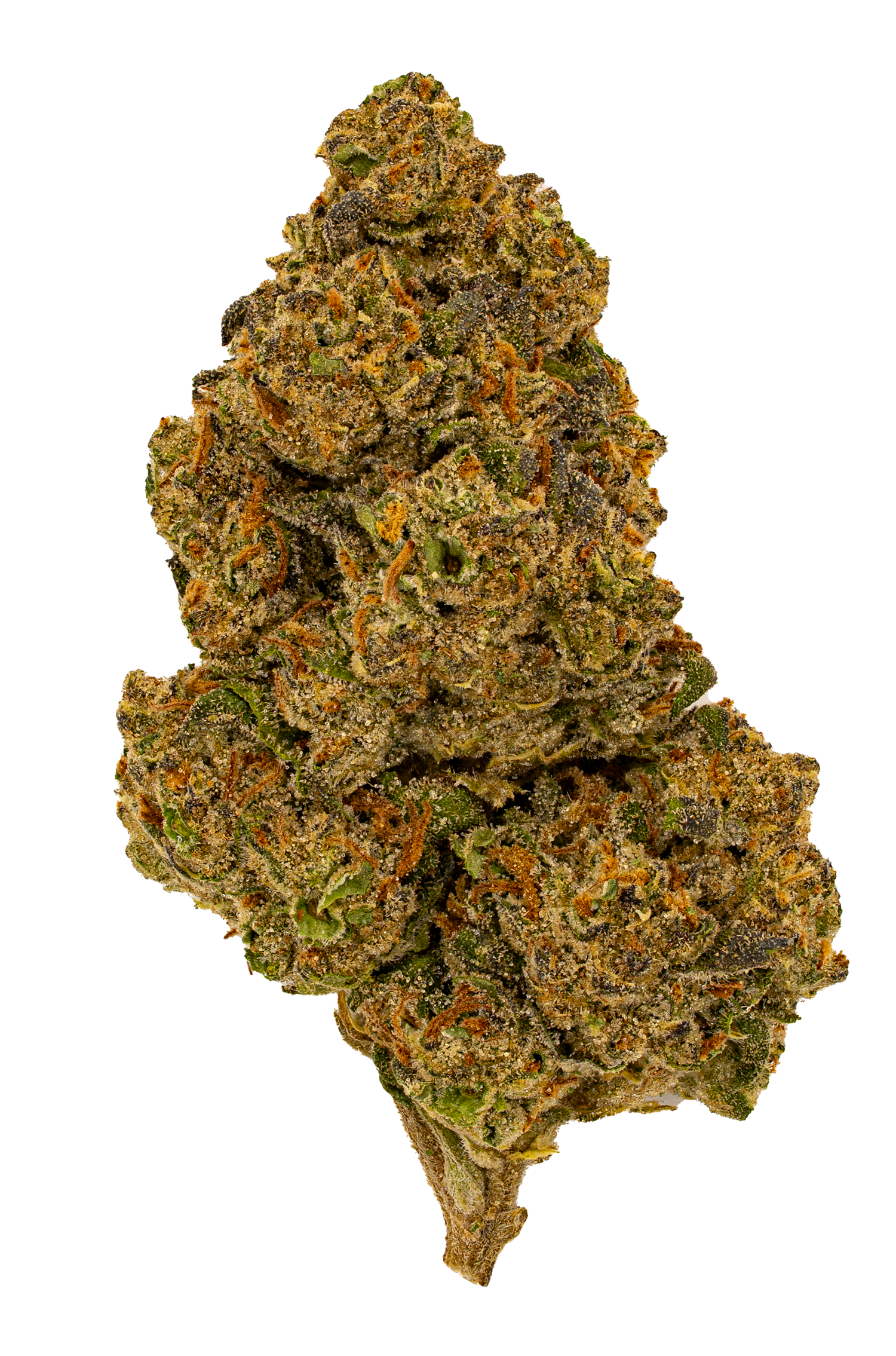 Dante Inferno | Light Dep by THCA Nugs