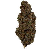 Diesel Poison | Indoor by THCA Nugs™