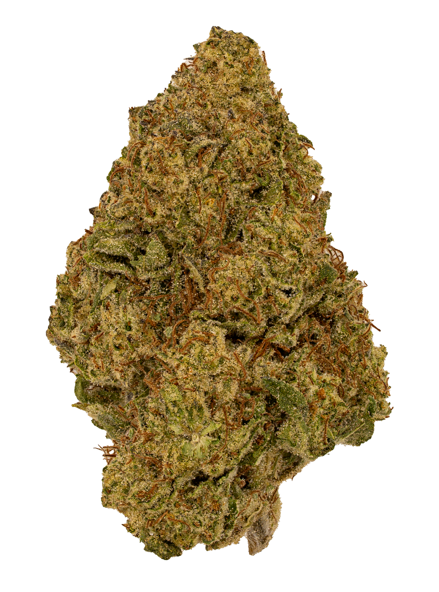 Pinnacle | Light Dep by THCA Nugs