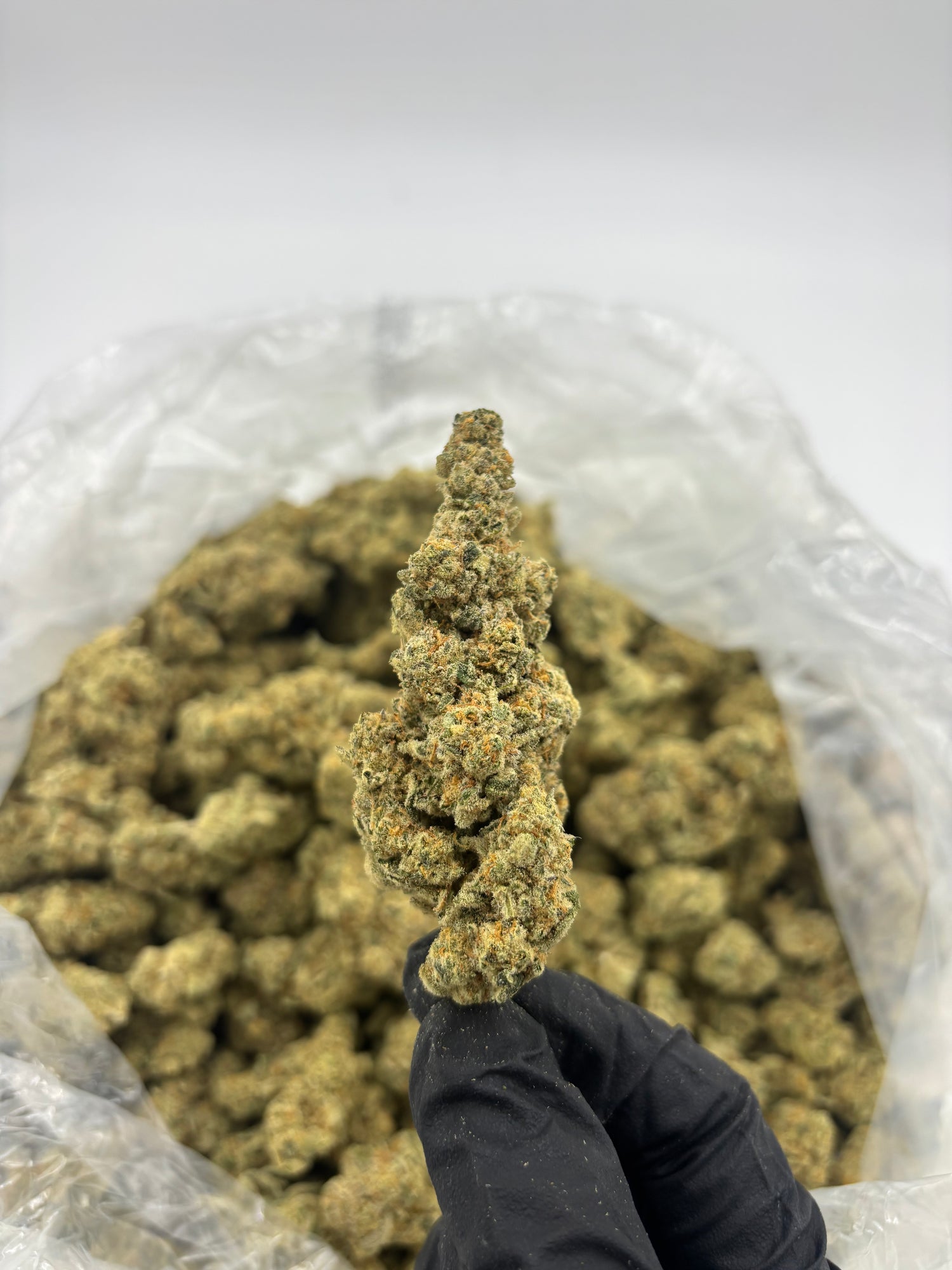 Gush Mintz | Exotics by THCA Nugs™