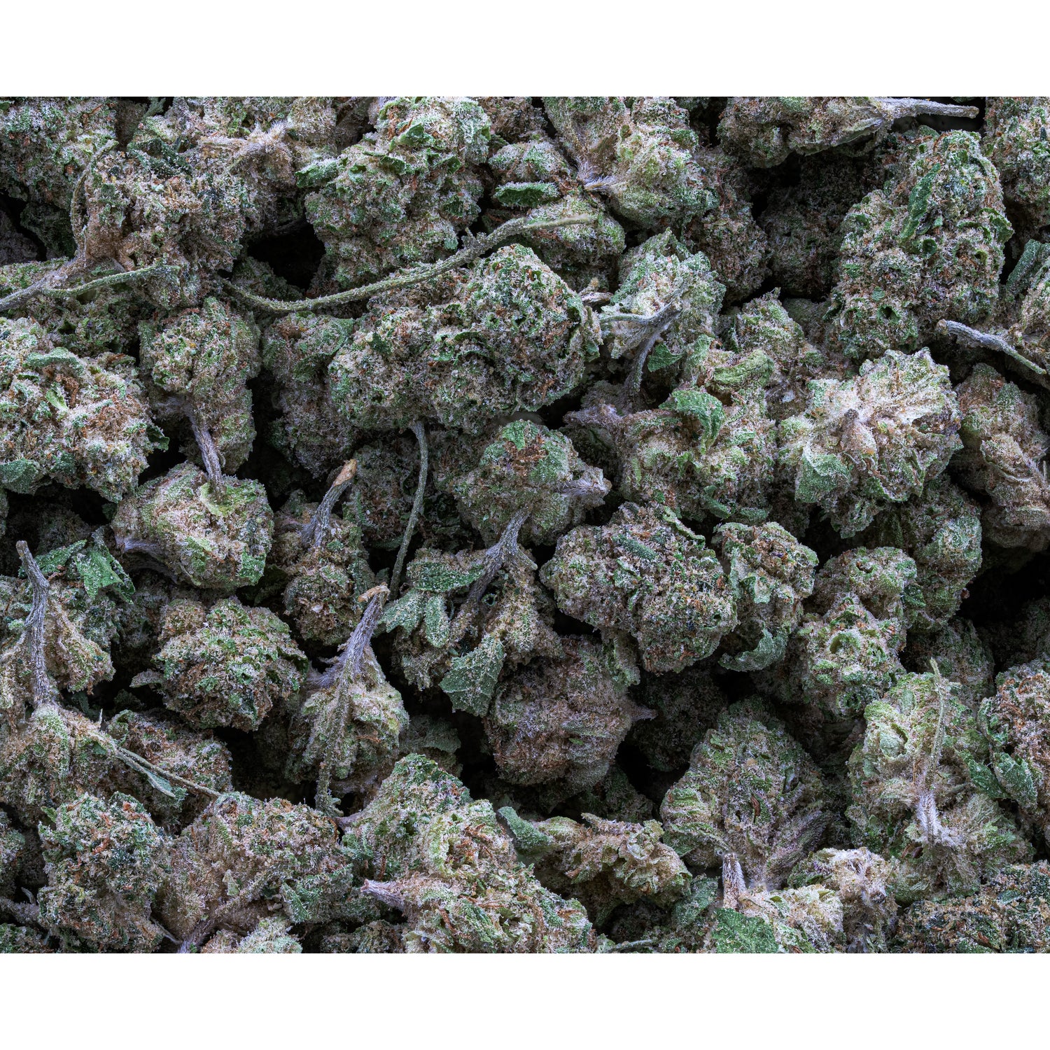 Black Ice | Exotic Smalls by THCA Nugs™