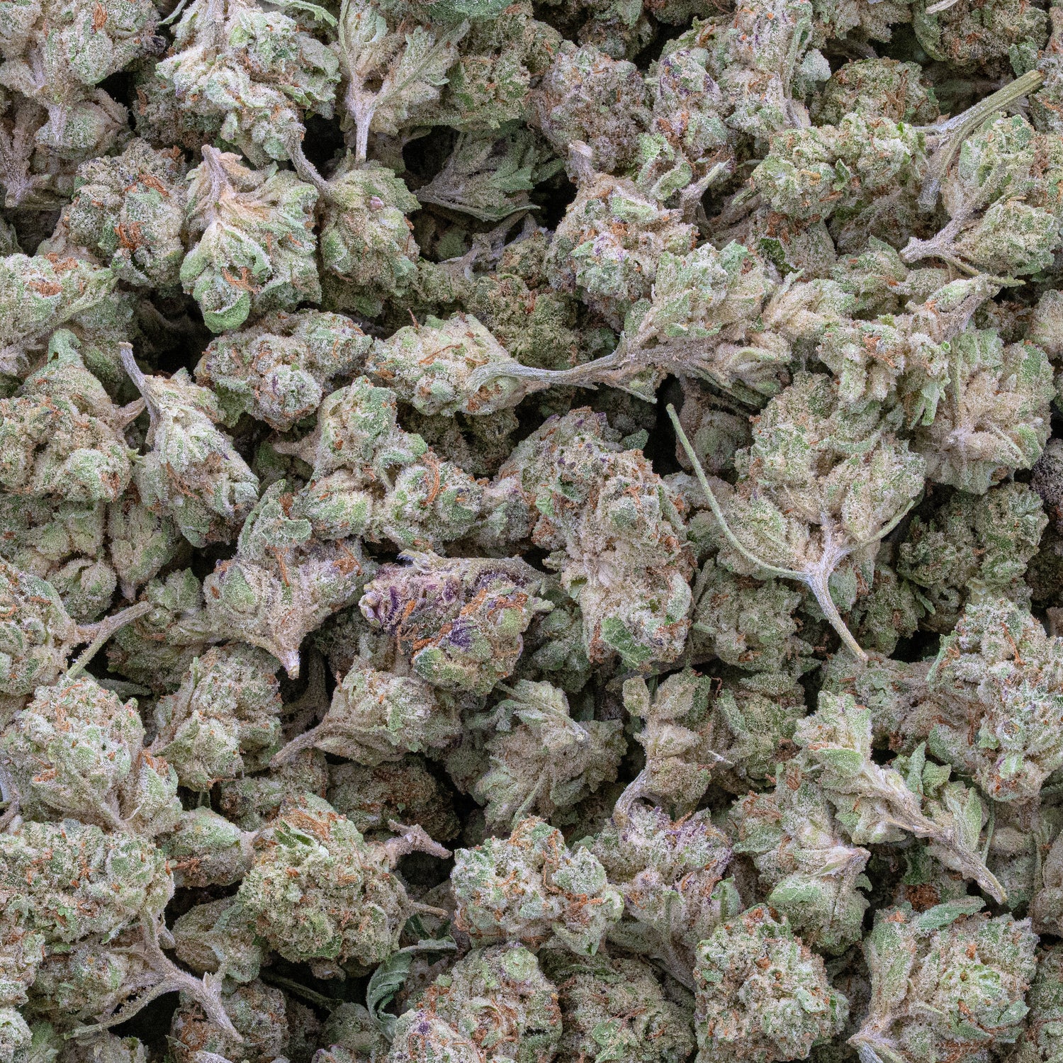 Permanent Marker | Exotic Smalls by THCA Nugs™