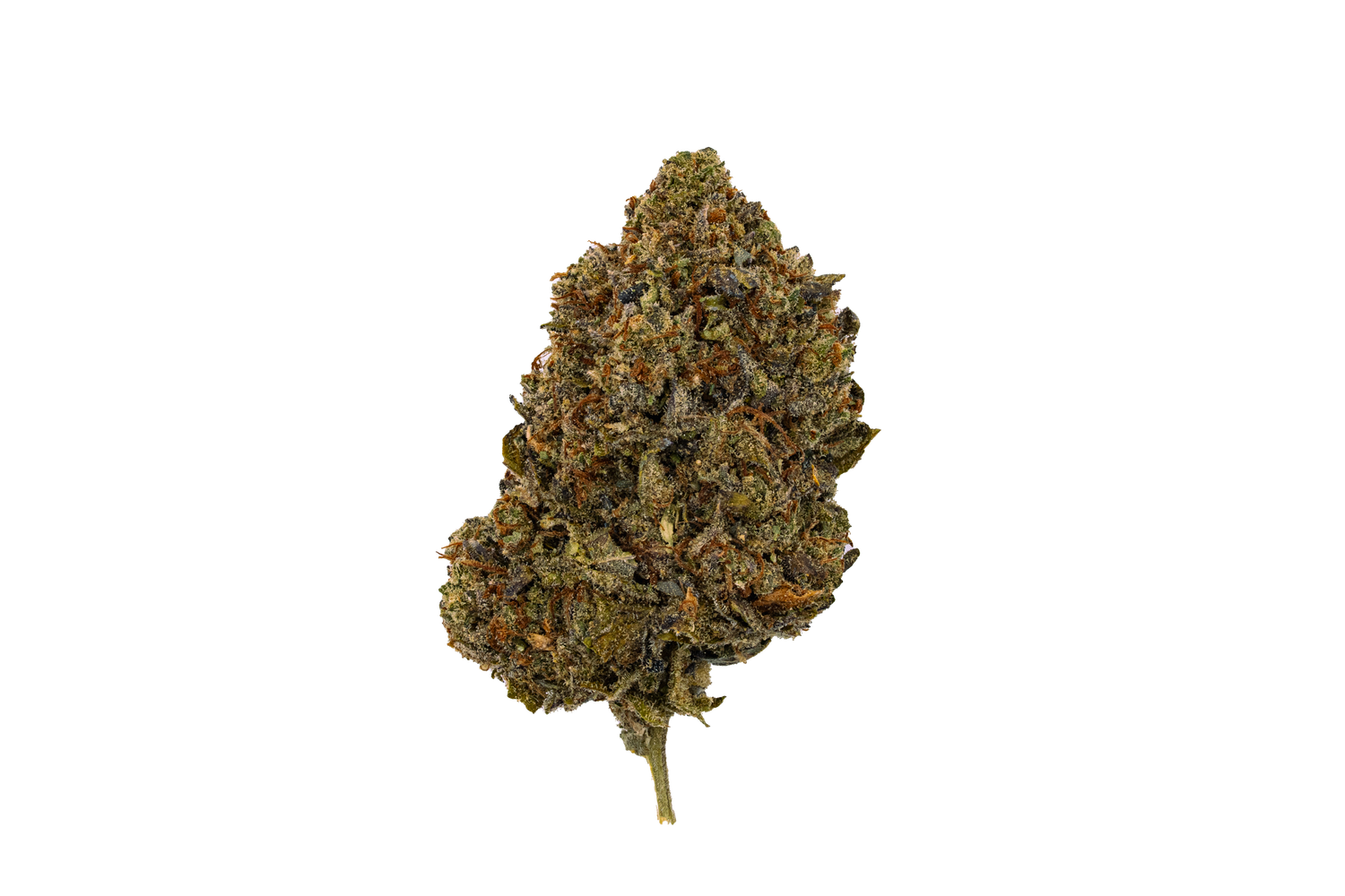 Tropicanna Cookies | Light Dep by THCA Nugs