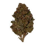 LA Kush | Exotics by THCA Nugs™