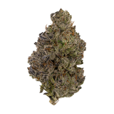 Close-up of a Mule Fuel Exotic THCA Nug without a background