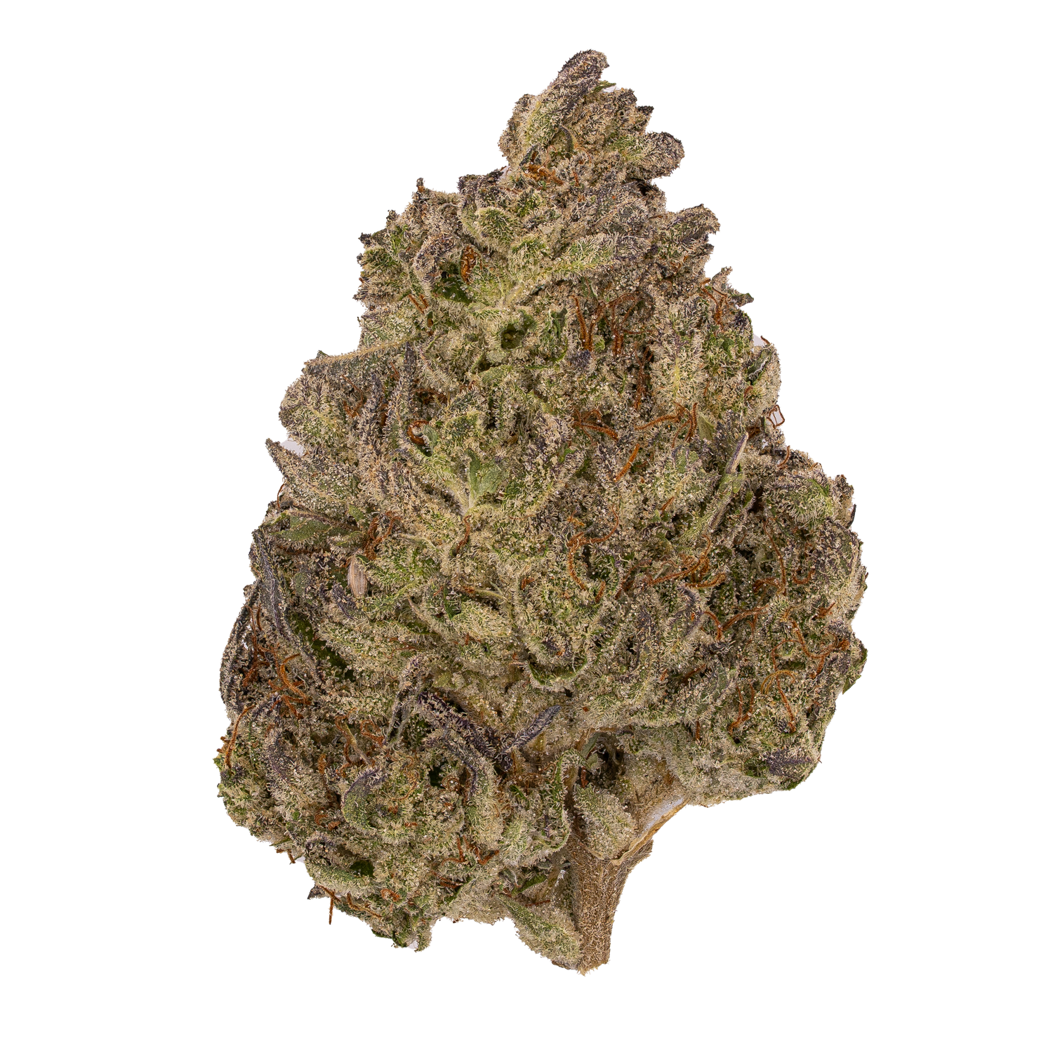 Permenant Chimera | Light Dep by THCA Nugs