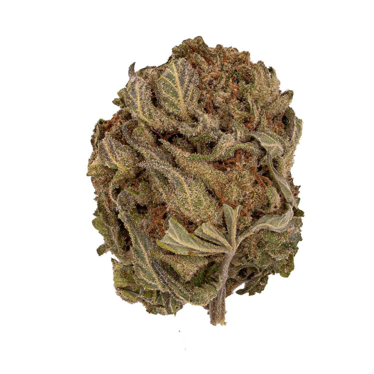 Purple Nebula | Budget Flower By THCA Nugs