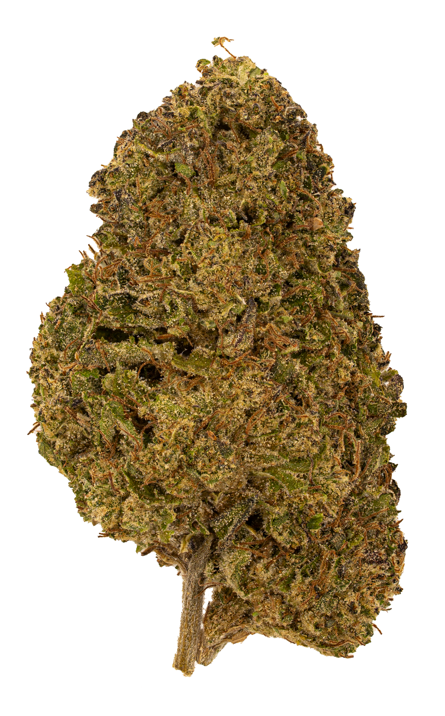 Sunset Sherbert | Light Dep by THCA Nugs