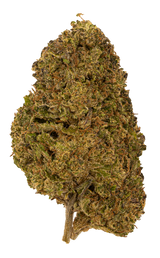 Sunset Sherbert | Light Dep by THCA Nugs