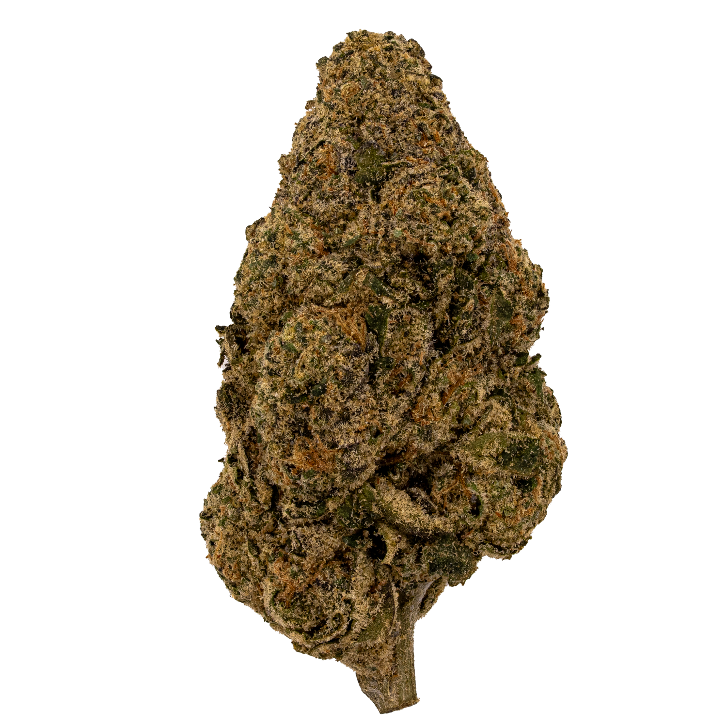 Biscotti | Exotics by THCA Nugs™