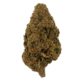 Biscotti | Exotics by THCA Nugs™