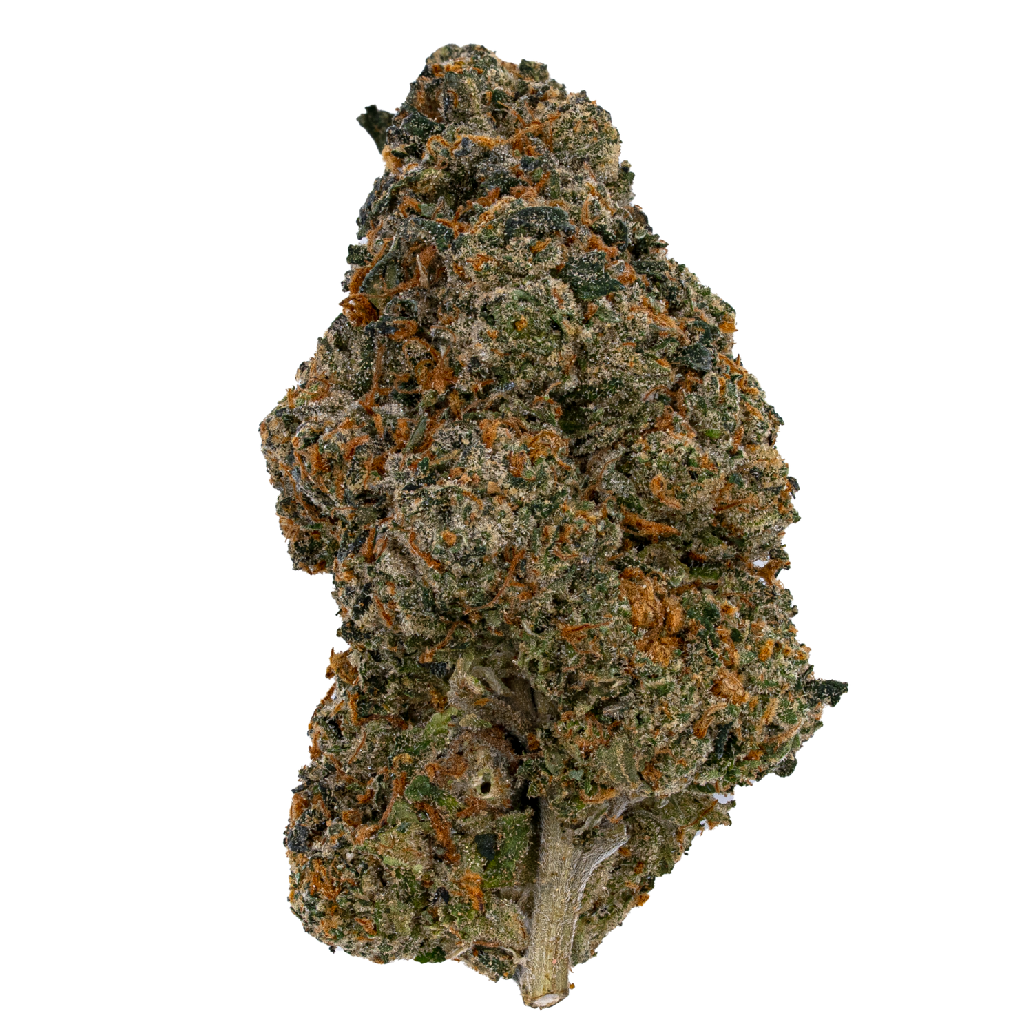 Gold Rose Runtz | Exotics by THCA Nugs™