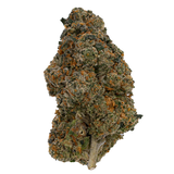 Gold Rose Runtz | Exotics by THCA Nugs™