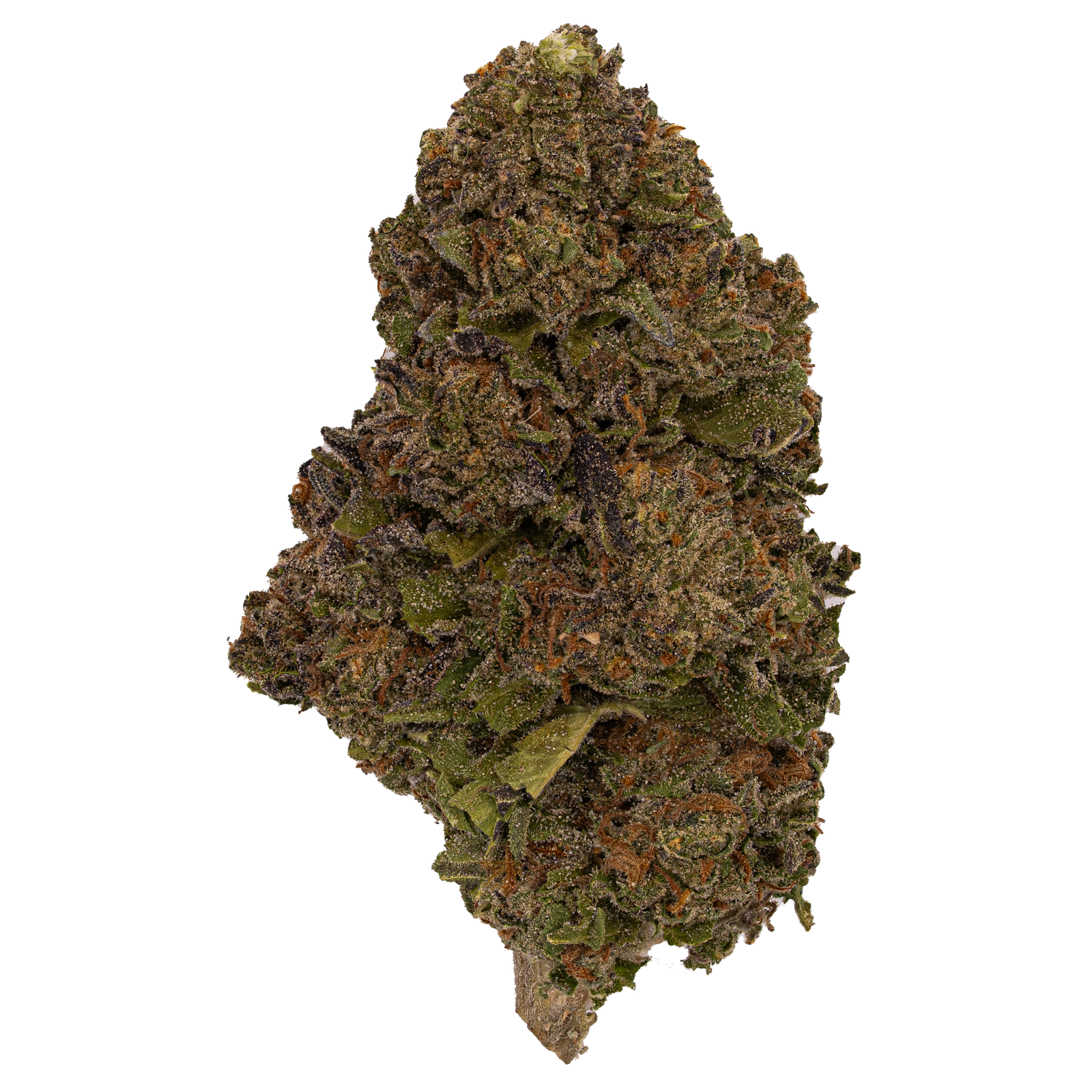 Oreoz | Light Dep By THCA Nugs