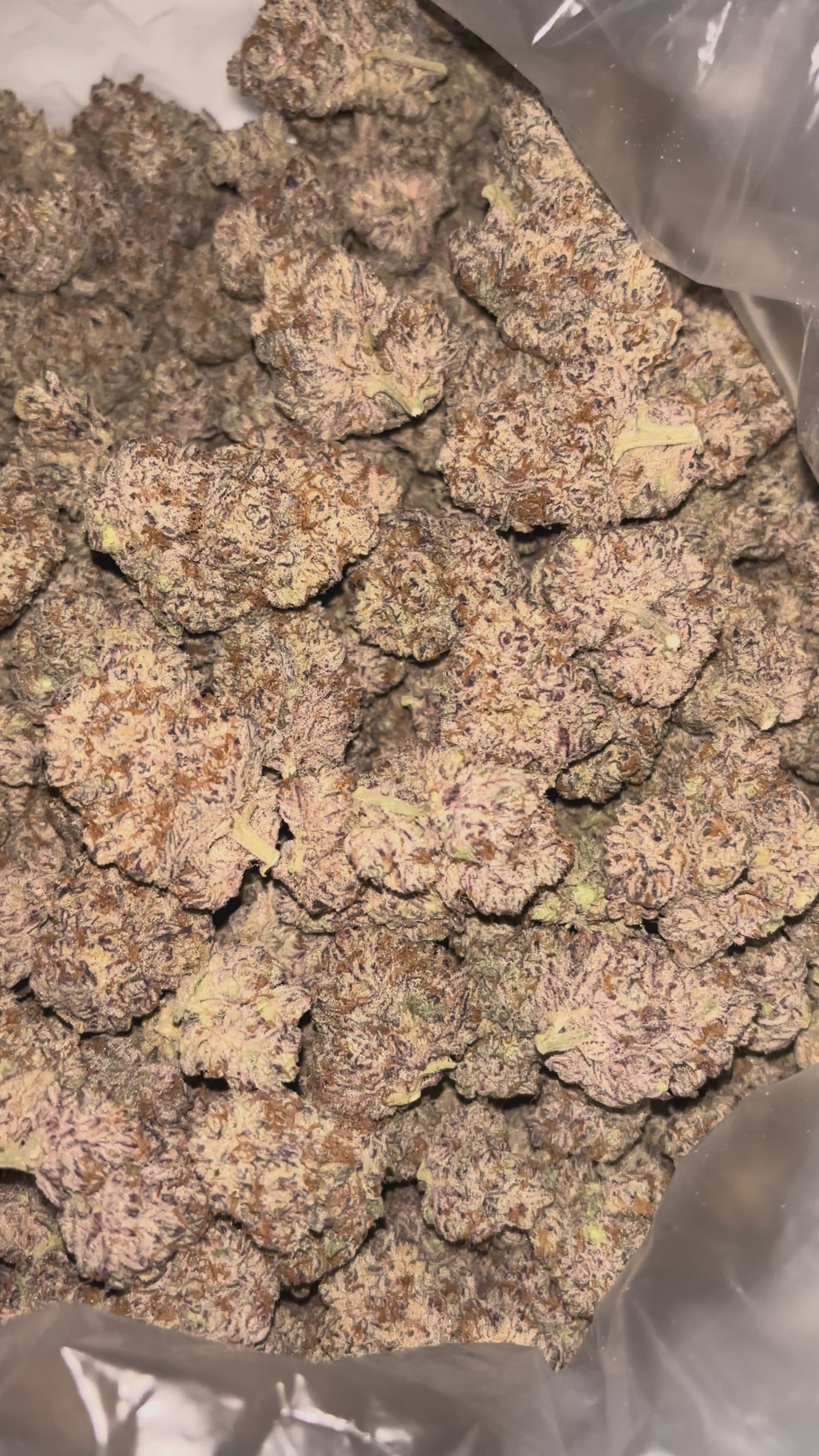 Cherry Sorbet THCA Flower | Nugs™ Premium Exotic Hybrid