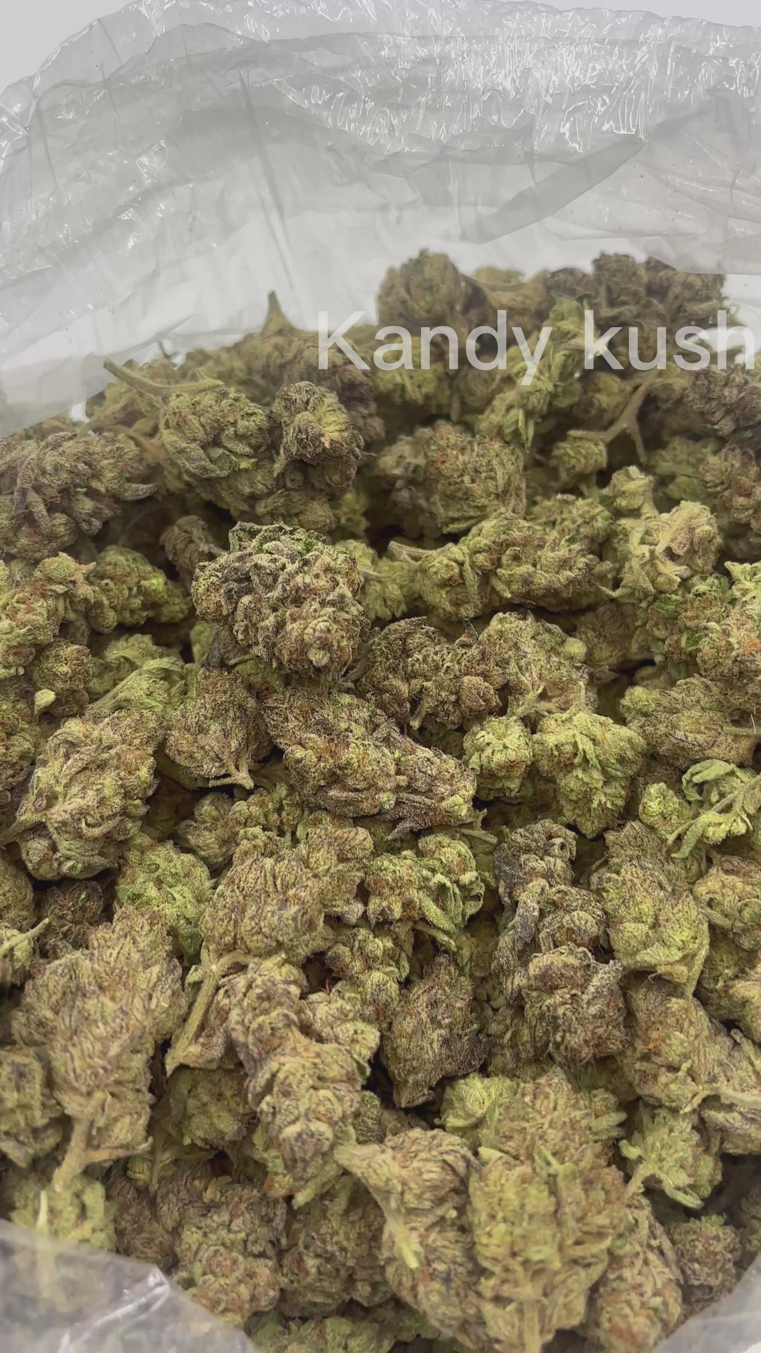 Kandy Kush | Exotics by THCA Nugs™
