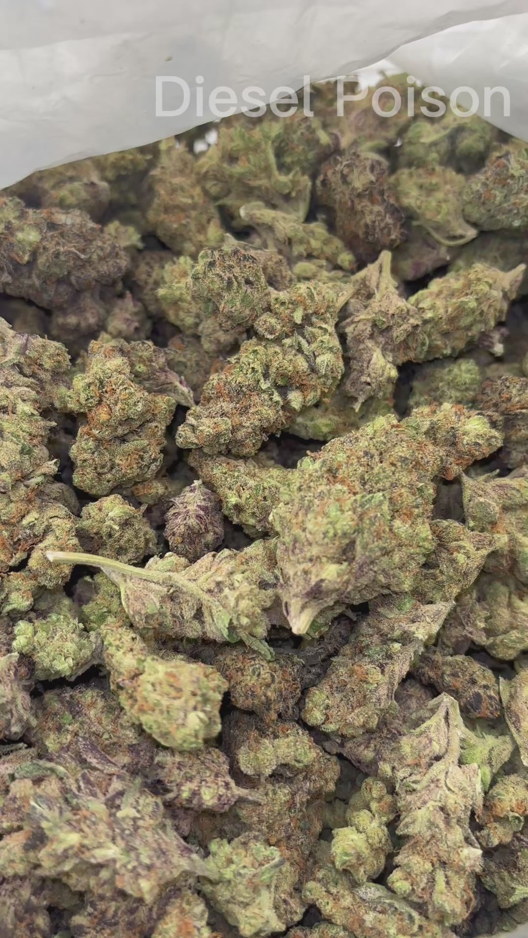 Diesel Poison | Indoor by THCA Nugs™