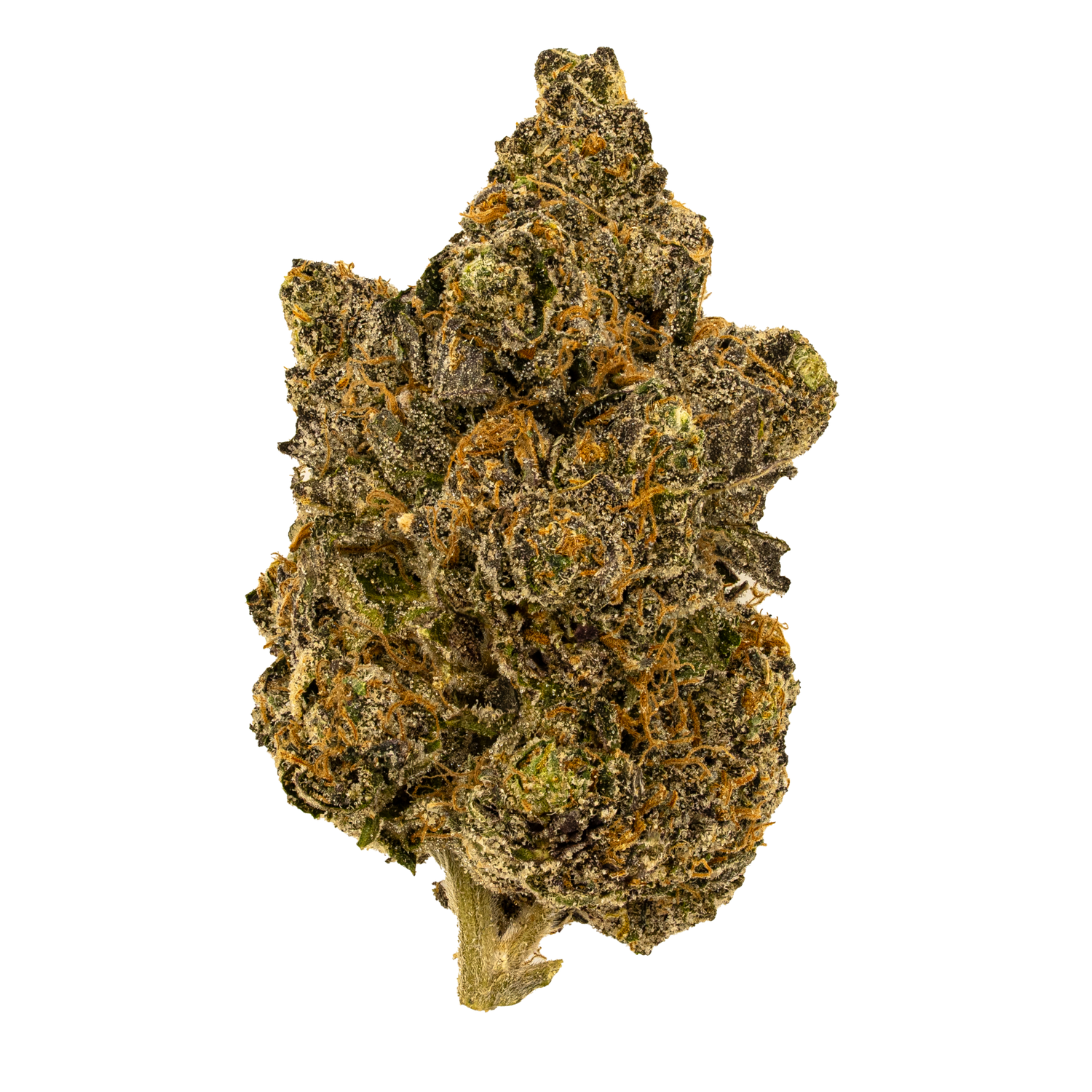 White Sherb | Exotics by THCA Nugs™