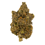 White Sherb | Exotics by THCA Nugs™